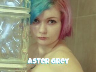 Aster_Grey