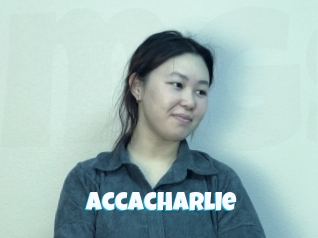 Accacharlie