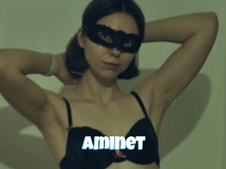 Aminet