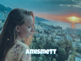 Amismett