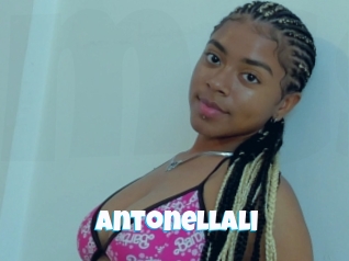 Antonellali