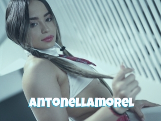 Antonellamorel