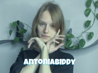 Antoniabiddy