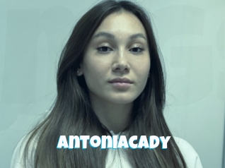 Antoniacady