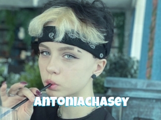 Antoniachasey