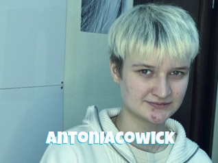 Antoniacowick