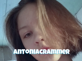 Antoniacrammer