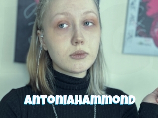 Antoniahammond