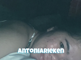 Antoniarieken