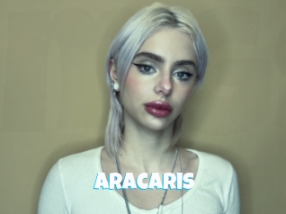 Aracaris