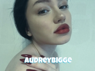 Audreybigge