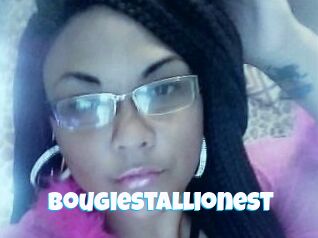 BougieStallionest