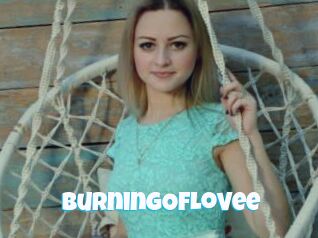 BurningOfLovee