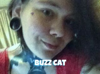 Buzz_Cat