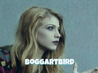 Boggartbird