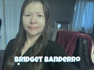 Bridget_banderro