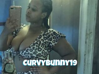 Curvybunny19