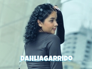 Dahliagarrido