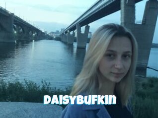 Daisybufkin