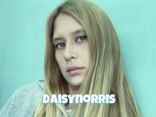 Daisynorris