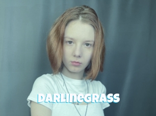 Darlinegrass