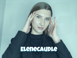 Elenecaudle