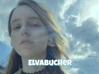 Elvabucher