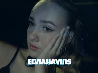 Elviahavins