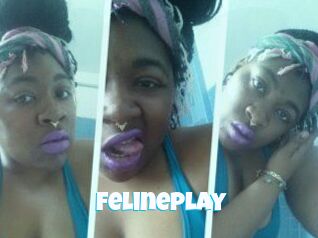 Felineplay