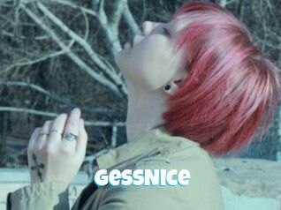 GessNice
