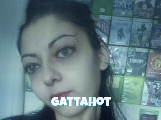 Gattahot