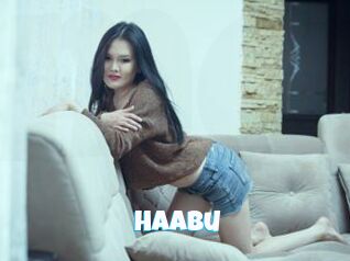 Haabu