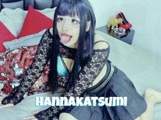Hannakatsumi