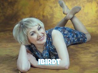 Ibirdt