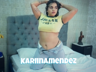 Kariinamendez