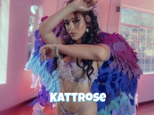 Kattrose