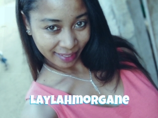 Laylahmorgane