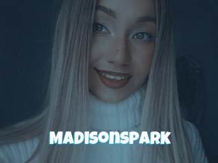 Madisonspark