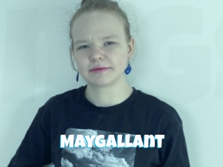 Maygallant