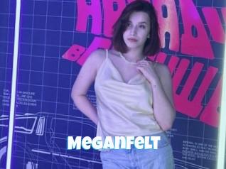 Meganfelt