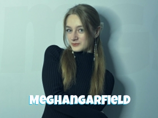 Meghangarfield