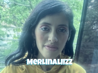 Merlinaliizz