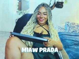 Miaw_prada