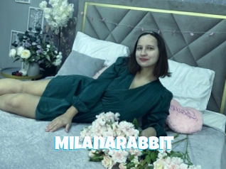 Milanarabbit