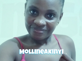 Mollineakinyi