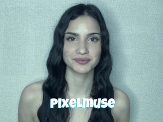 Pixelmuse