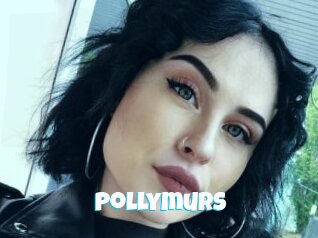Pollymurs