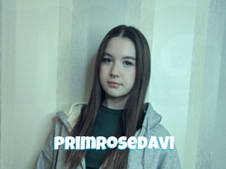 Primrosedavi