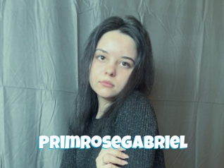 Primrosegabriel