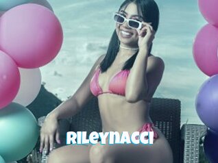 Rileynacci